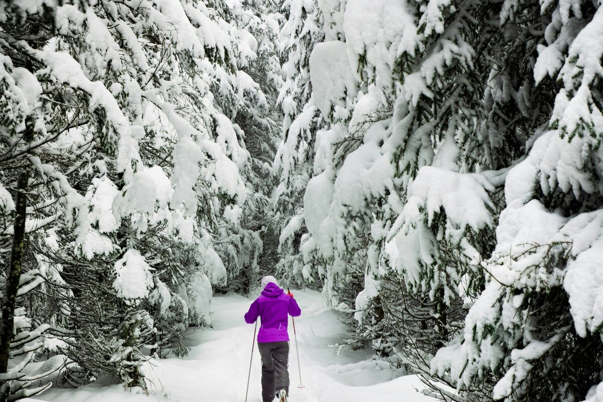 Hiihtoladtu puistossa Helsingissä